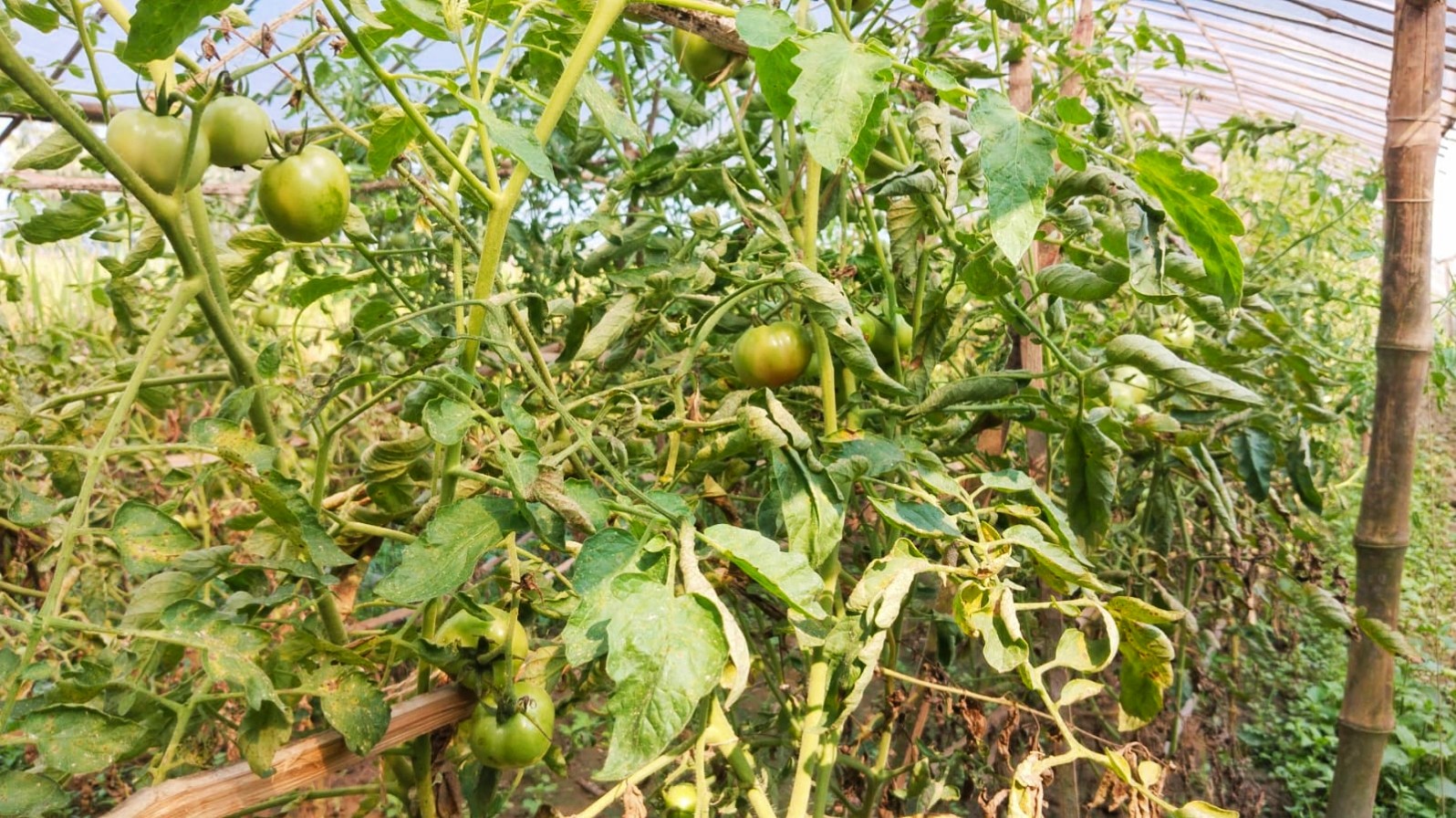 thumbnail_IMG_20251103_101510