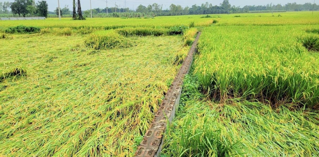 thumbnail_IMG_20251103_145433