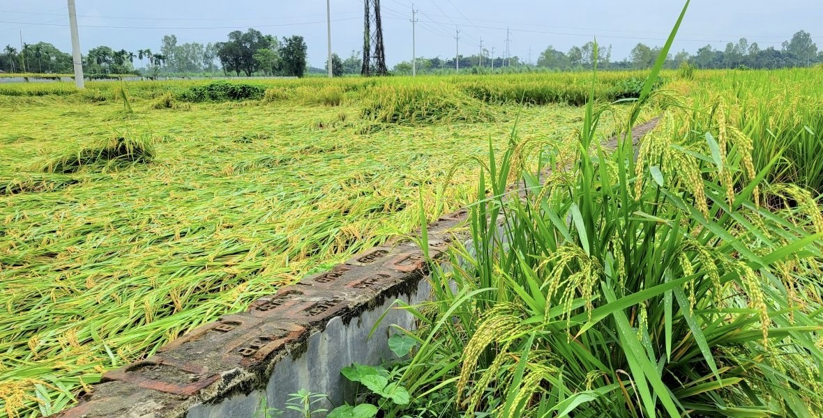 thumbnail_IMG_20251103_145444