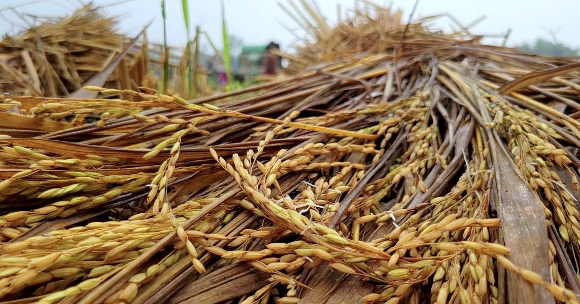 thumbnail_IMG_20251103_145507