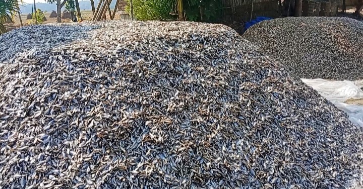 thumbnail_IMG_20251124_091152