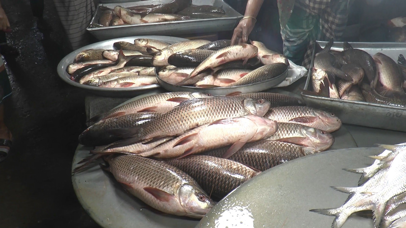 thumbnail_Madaripur_25-11-25_(FISH_BAZAR)_Pic_(3)