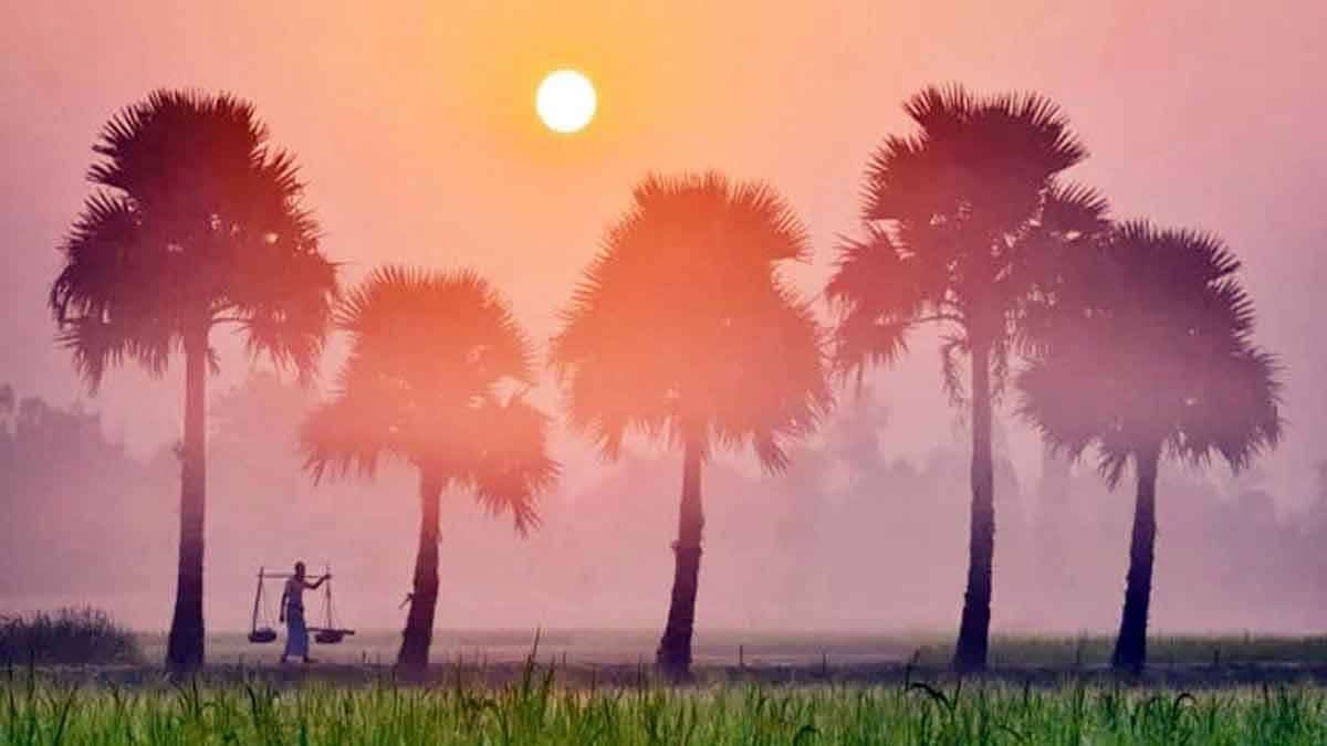 কুয়াশা বাড়ছে উত্তরে, তাপমাত্রা কমতে পারে ৩ ডিগ্রি