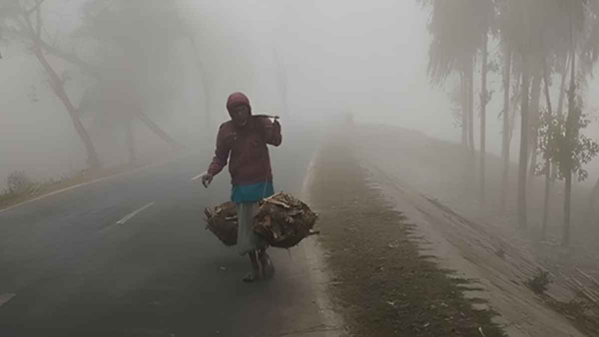 আসছে একের পর এক শৈত্যপ্রবাহ, কাঁপবে দেশ