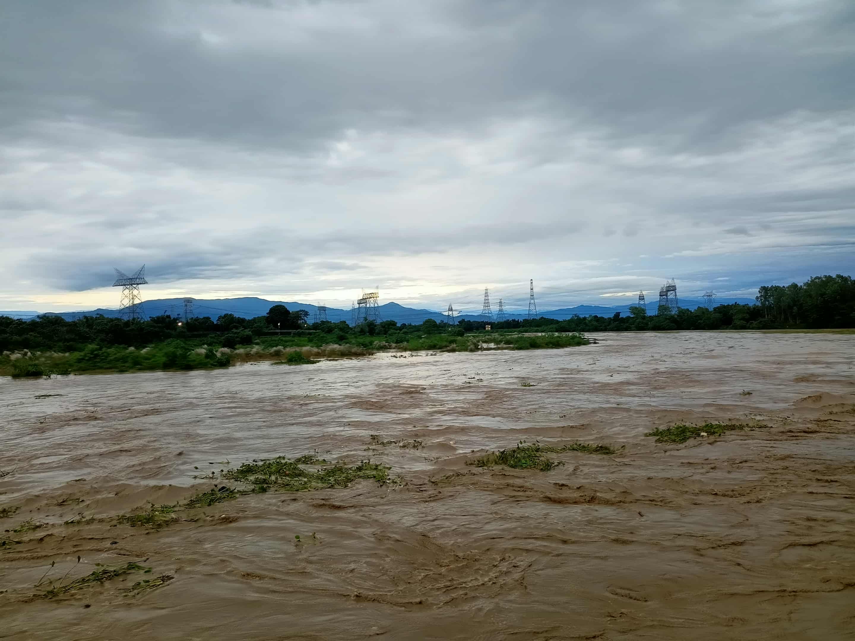 1000180459 1000180459