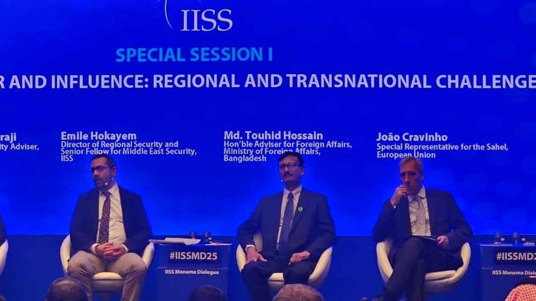 দেশে কোনো সশস্ত্র গোষ্ঠীকে কাজ করতে দেওয়া হবে না: পররাষ্ট্র উপদেষ্টা