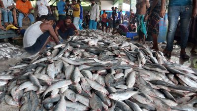 20240920_103636-d766c15f42fcfd411493beef1f9a8454