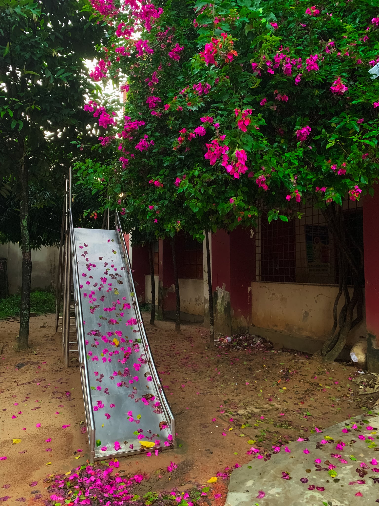 23734321-cc5d-44a9-a204-2cb7d4076b6c