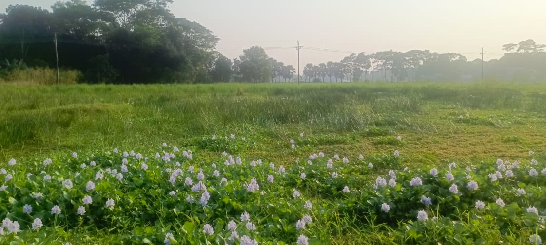 54c2e1e9-fd16-4090-a2e2-bc7aa3efcfa8