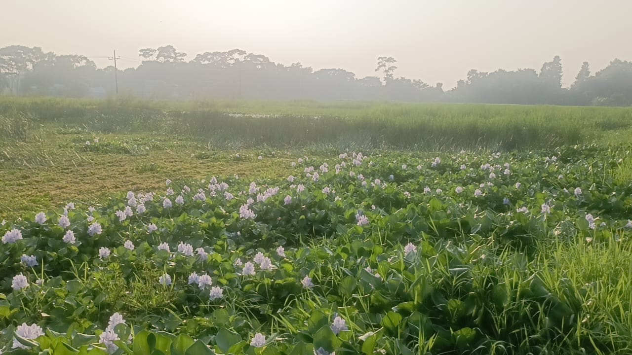 73ae8b81-88b3-464a-855d-678d6da879ad