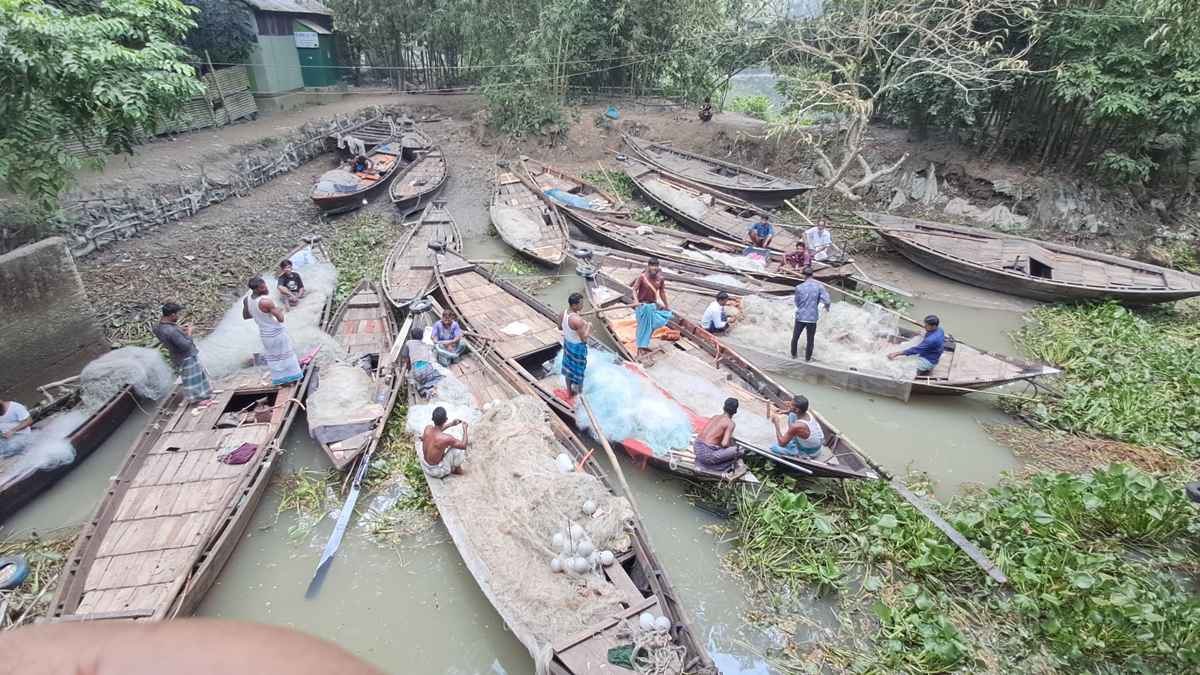 নিষেধাজ্ঞা শেষে চাঁদপুরের পদ্মা-মেঘনায় ইলিশ ধরার প্রস্তুতি