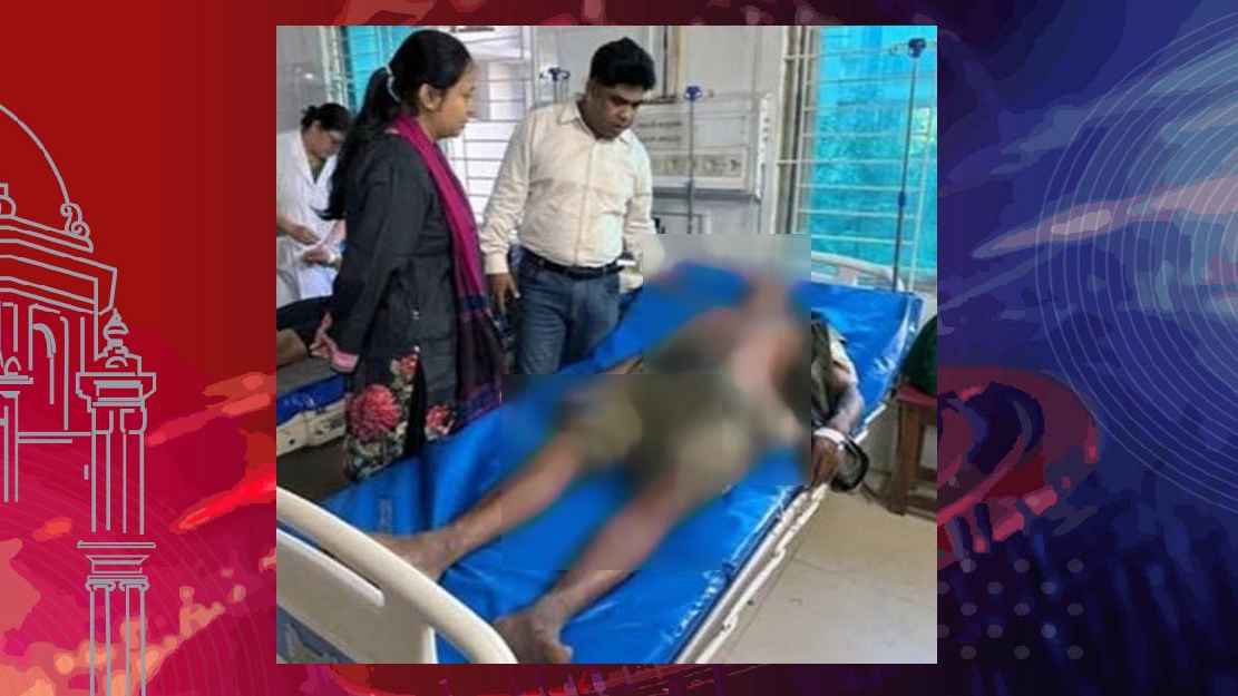 সাফারি পার্কে হাতির আক্রমণে ২ মাহুত আহত