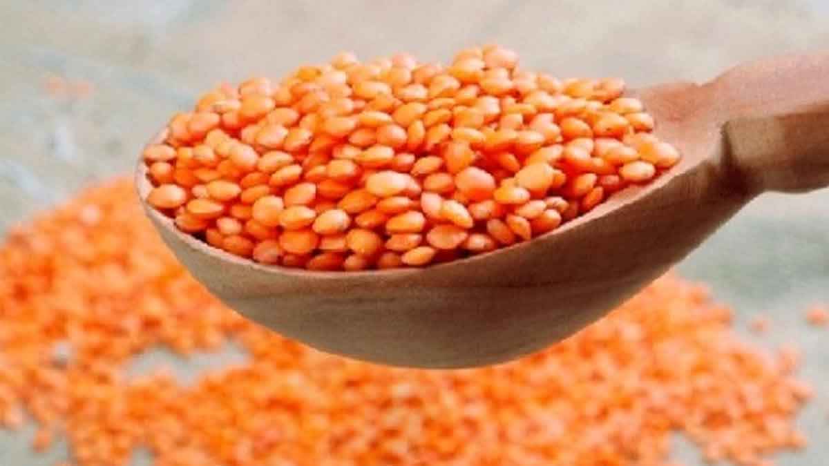 দেড় মাসের ব্যবধানে মসুর ডালের দাম বেড়েছে ২০ টাকা