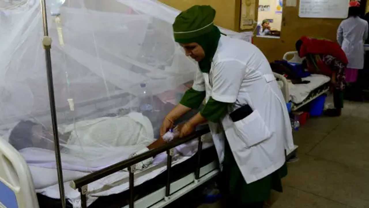 Dengu-won1 Dengu-won1