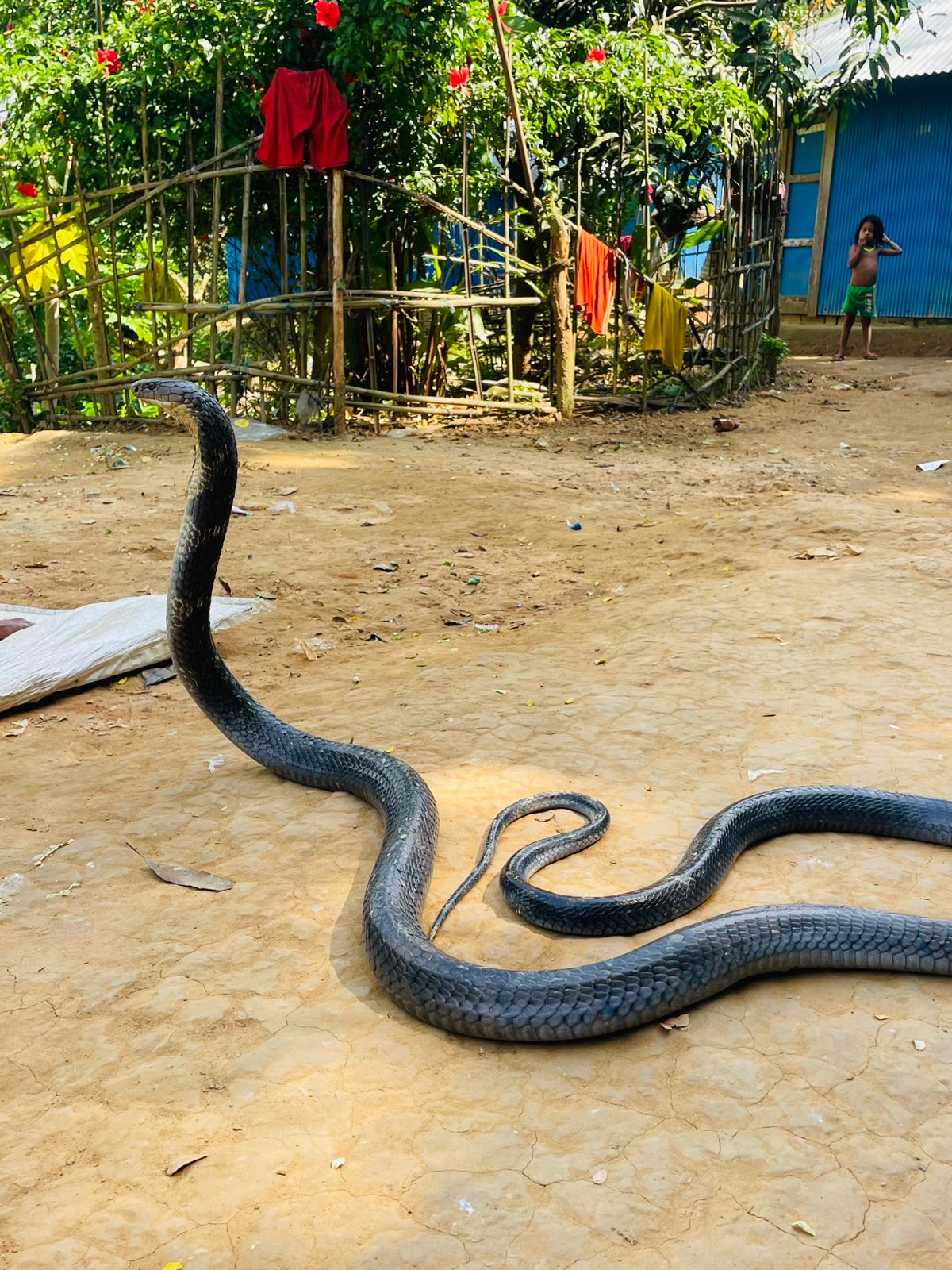 IMG-20251015-WA0091 IMG-20251015-WA0091