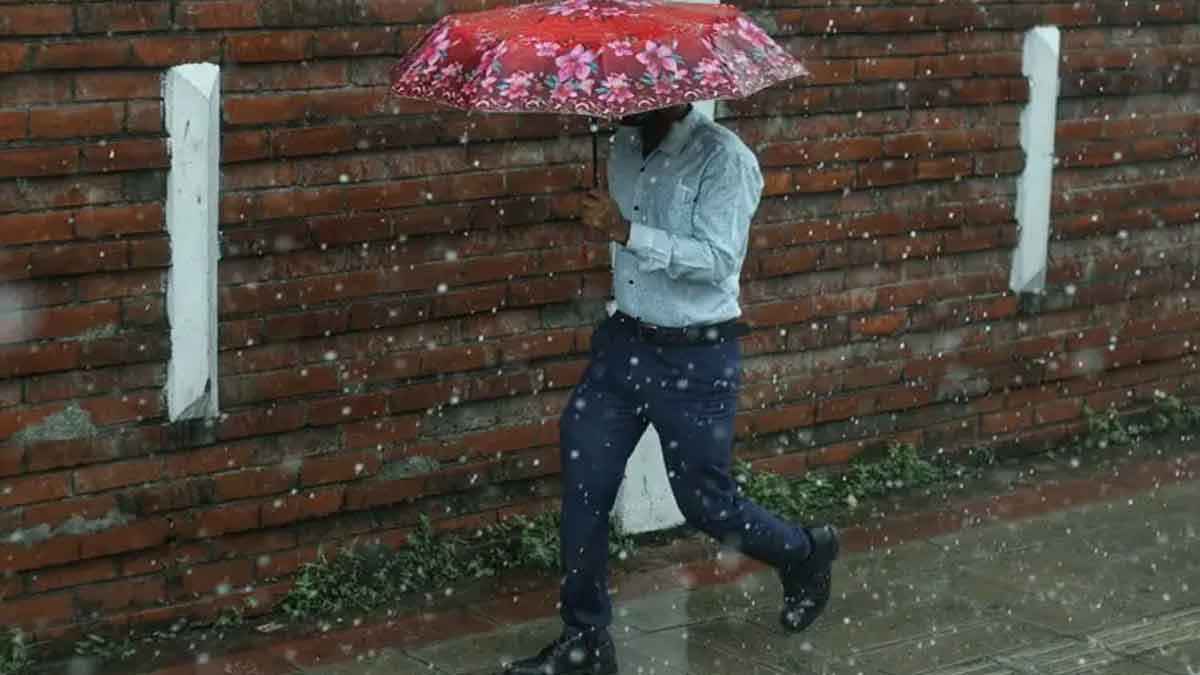 সারাদিন রোদের দেখা মিলবে না, তবে বৃষ্টি হতে পারে