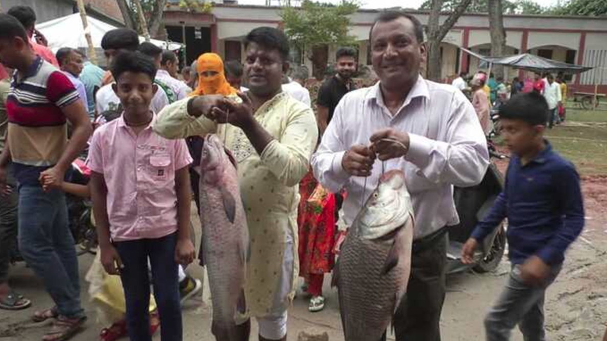 মণিরামপুরে জামাই মেলায় কোটি টাকার মাছ বিক্রি