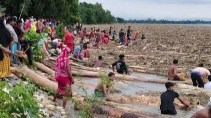 ‘ভারত থেকে’ ভেসে আসছে হাজার হাজার গাছ