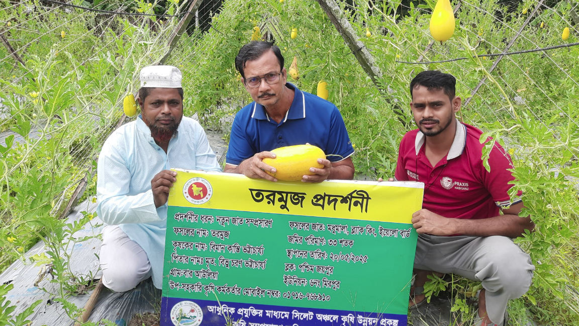 বাহুবলে শখের রঙিন তরমুজের সঙ্গে সাম্মাম চাষে সফলতা