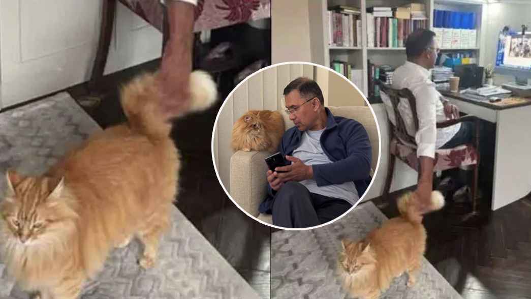 আদরের সেই বিড়াল নিয়ে যা বললেন তারেক রহমান