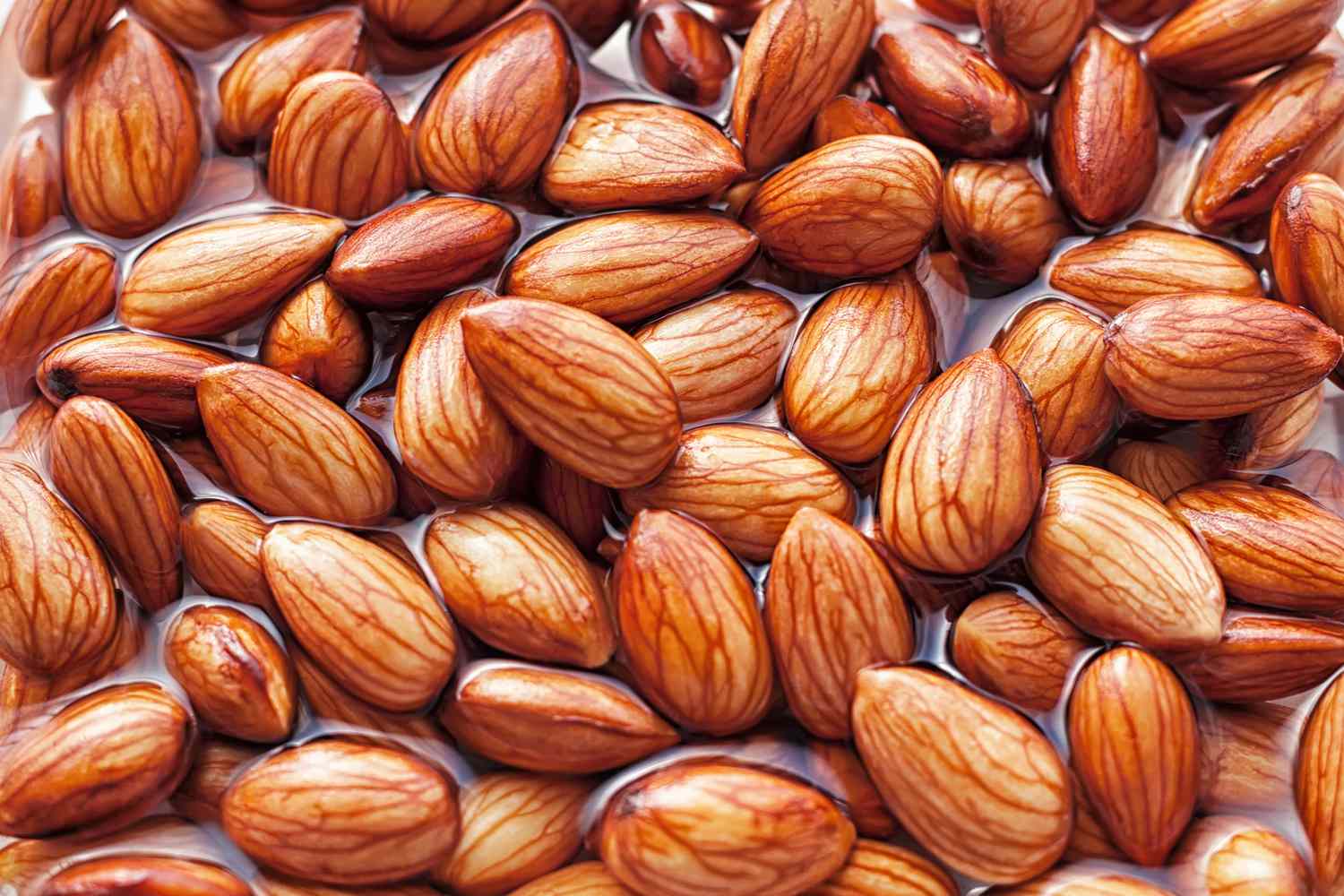 almond3 almond3