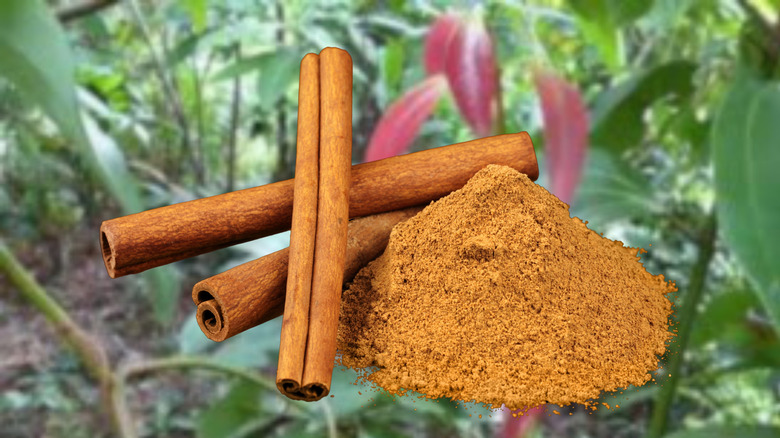 cinnamon3 cinnamon3