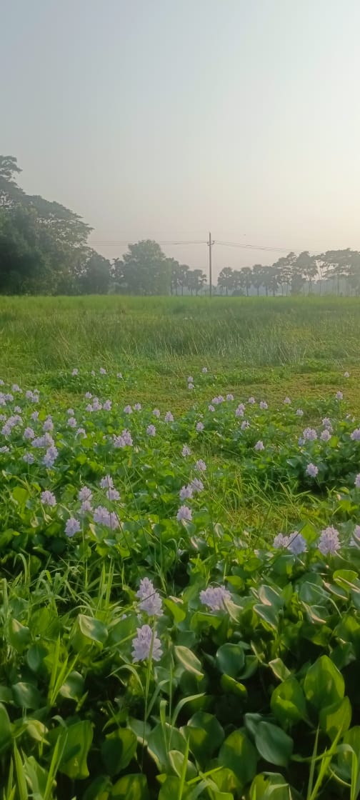 dd7127ab-2150-4ae1-ba23-1b7a25d787ad