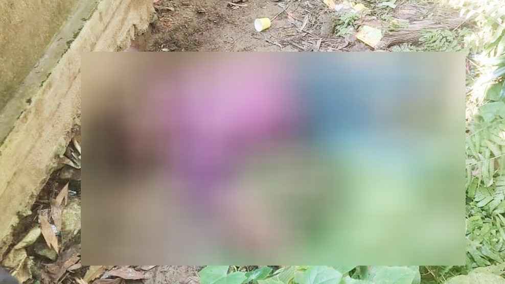 সুপারি চুরি করতে গিয়ে গাছ থেকে পড়ে প্রাণ গেল যুবকের