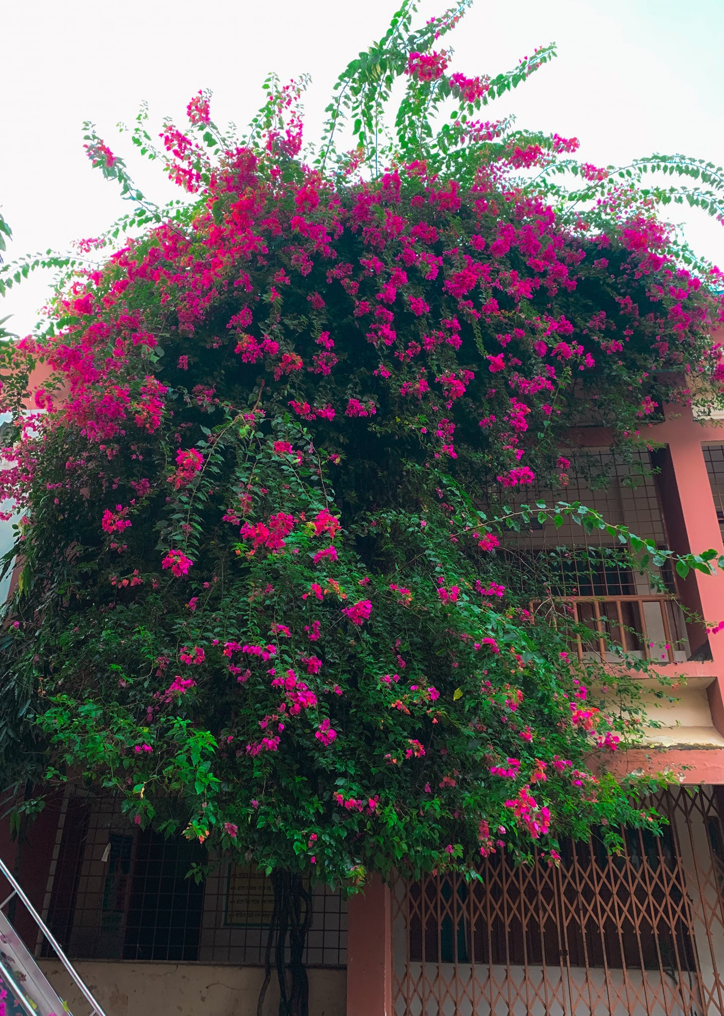 f7e0ff63-74c5-4a30-982b-a20b73cee403