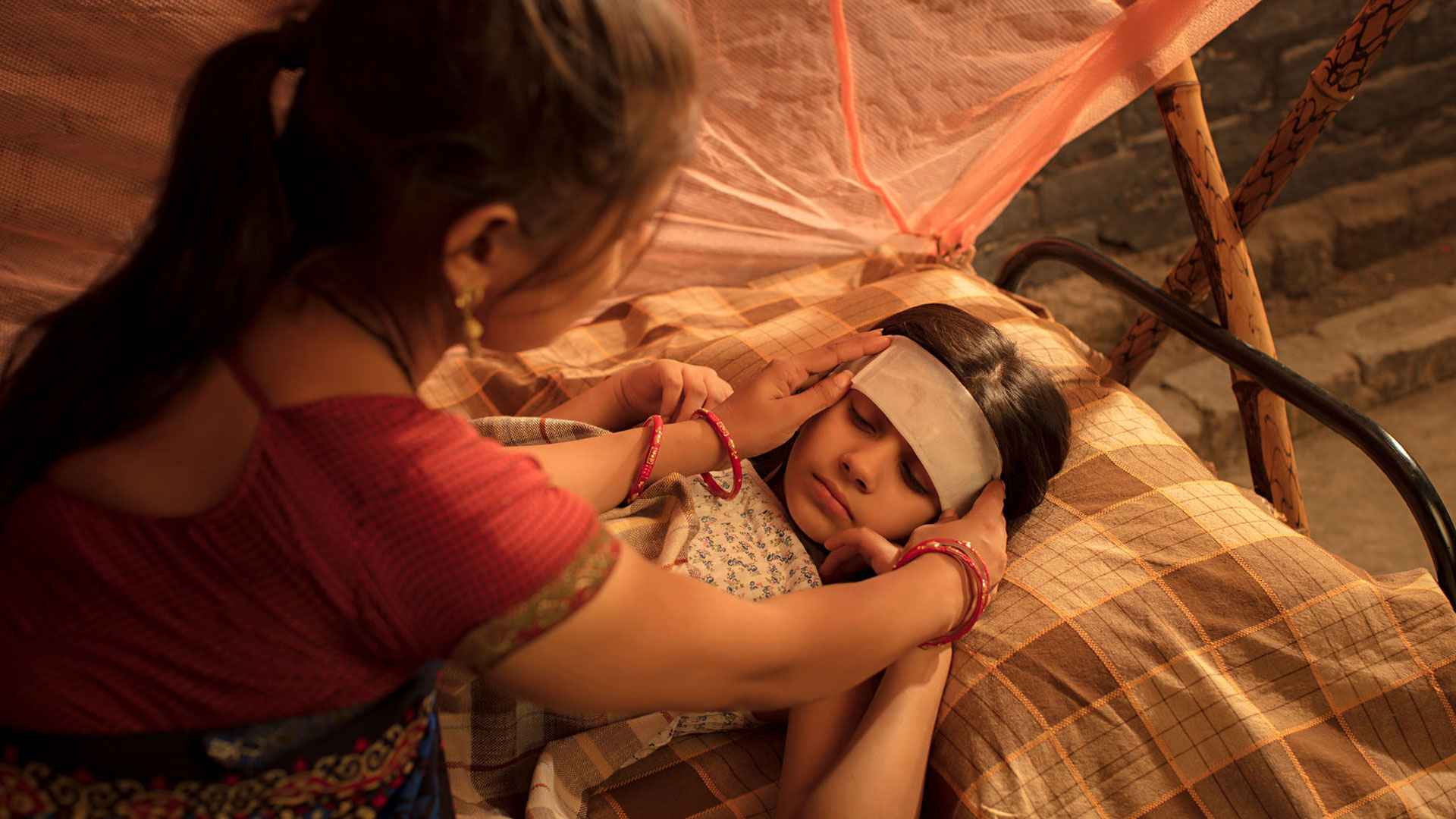 অল্পতেই জ্বর-কাশিতে ভোগেন? ভরসা রাখুন এই দুই ভেষজে