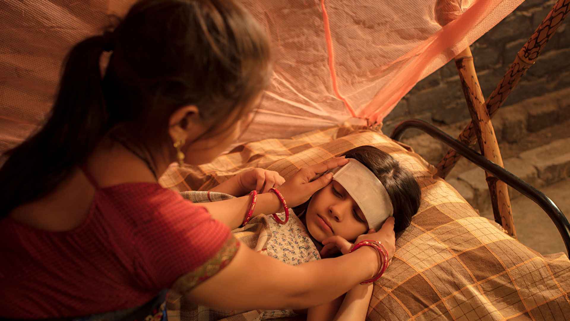 ডেঙ্গুতে প্লাটিলেট বাড়াতে সাহায্য করে যেসব ফল