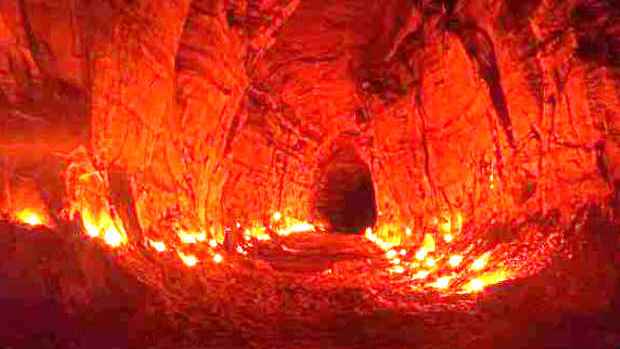 জাহান্নামের অভিশপ্ত বৃক্ষ জাক্কুম: এক ফলেই কুপোকাত