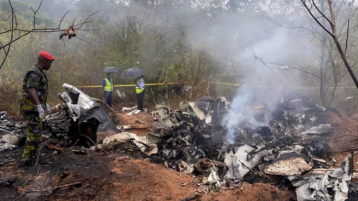 কেনিয়ায় পর্যটকবাহী বিমান বিধ্বস্ত, নিহত ১১