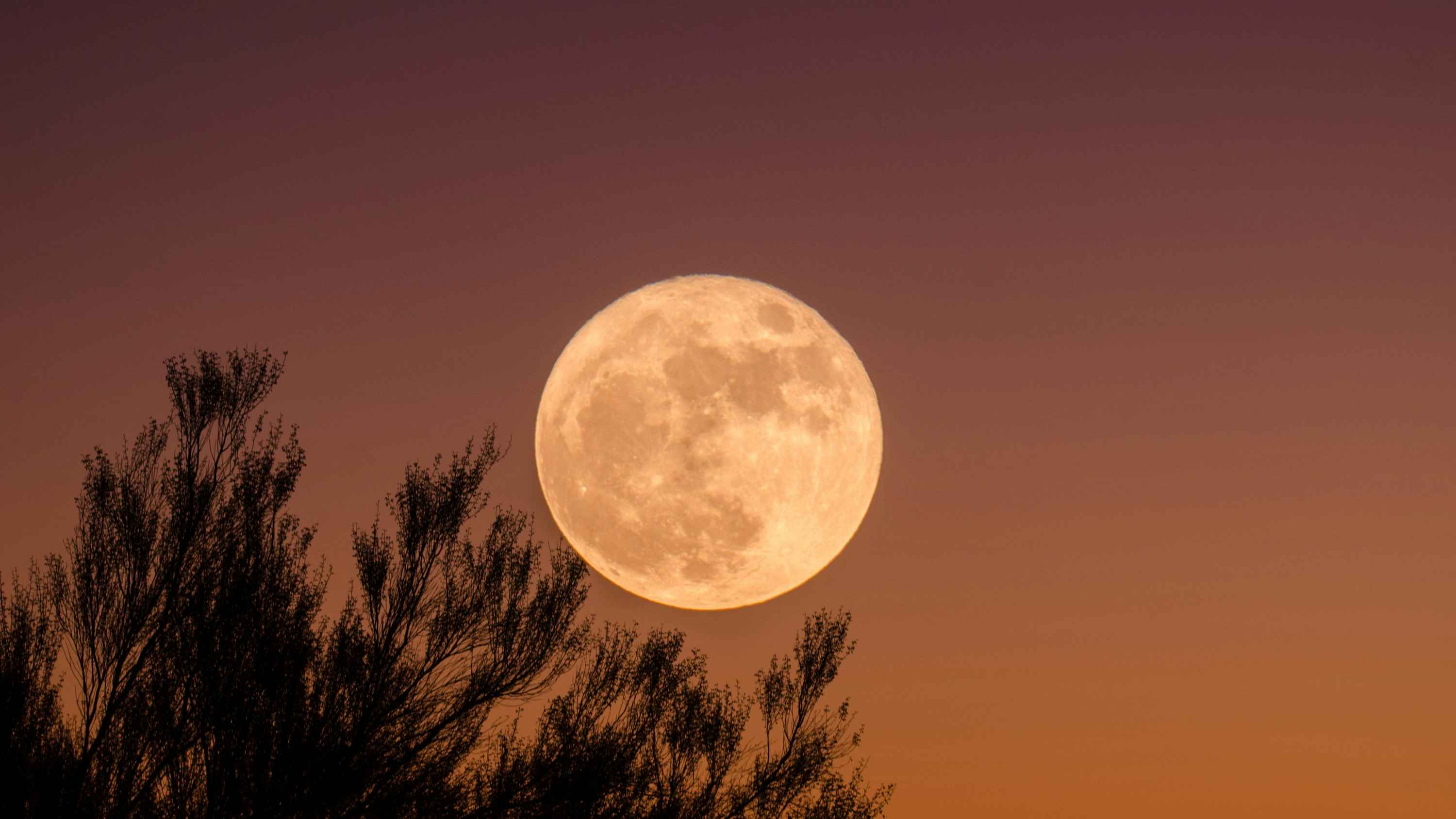 সুপারমুন: চাঁদ ১৪ শতাংশ বড় ও ৩০ শতাংশ উজ্জ্বল দেখাবে