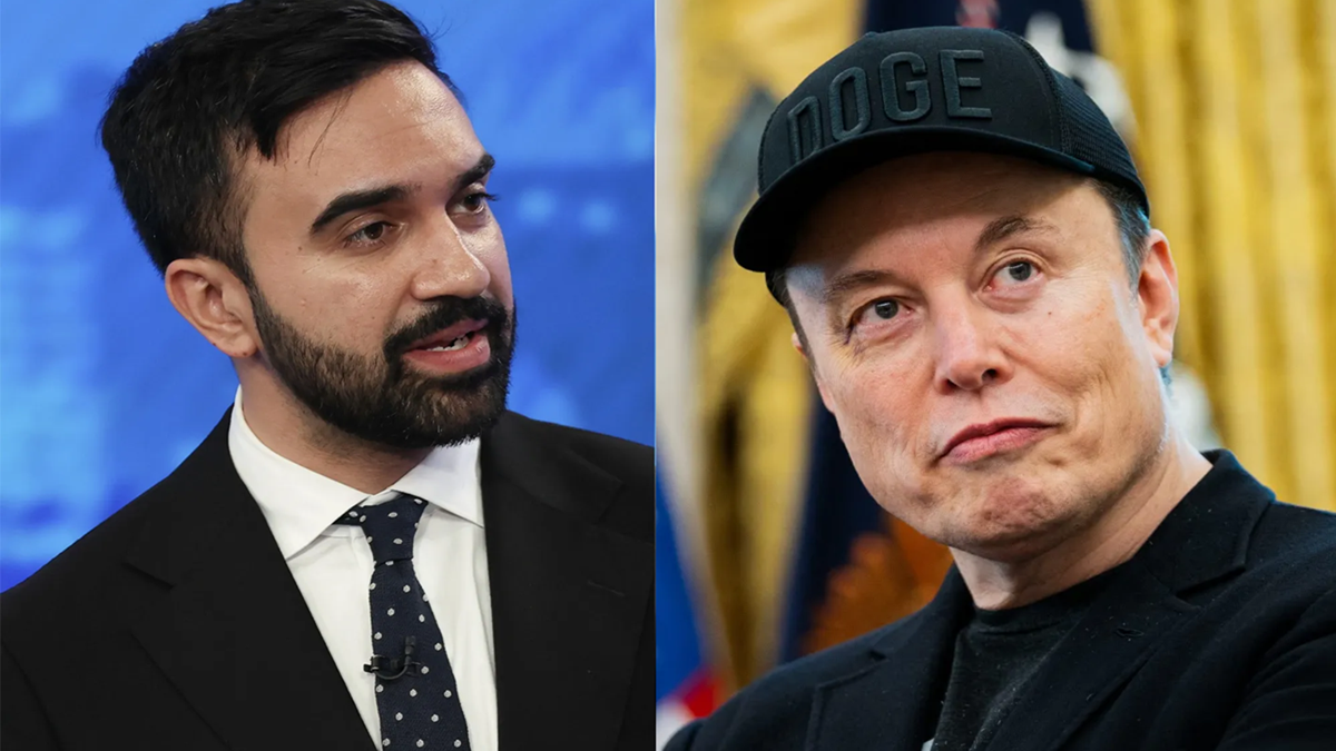 মামদানিই ডেমোক্র্যাটিক পার্টির ভবিষ্যৎ: ইলন মাস্ক