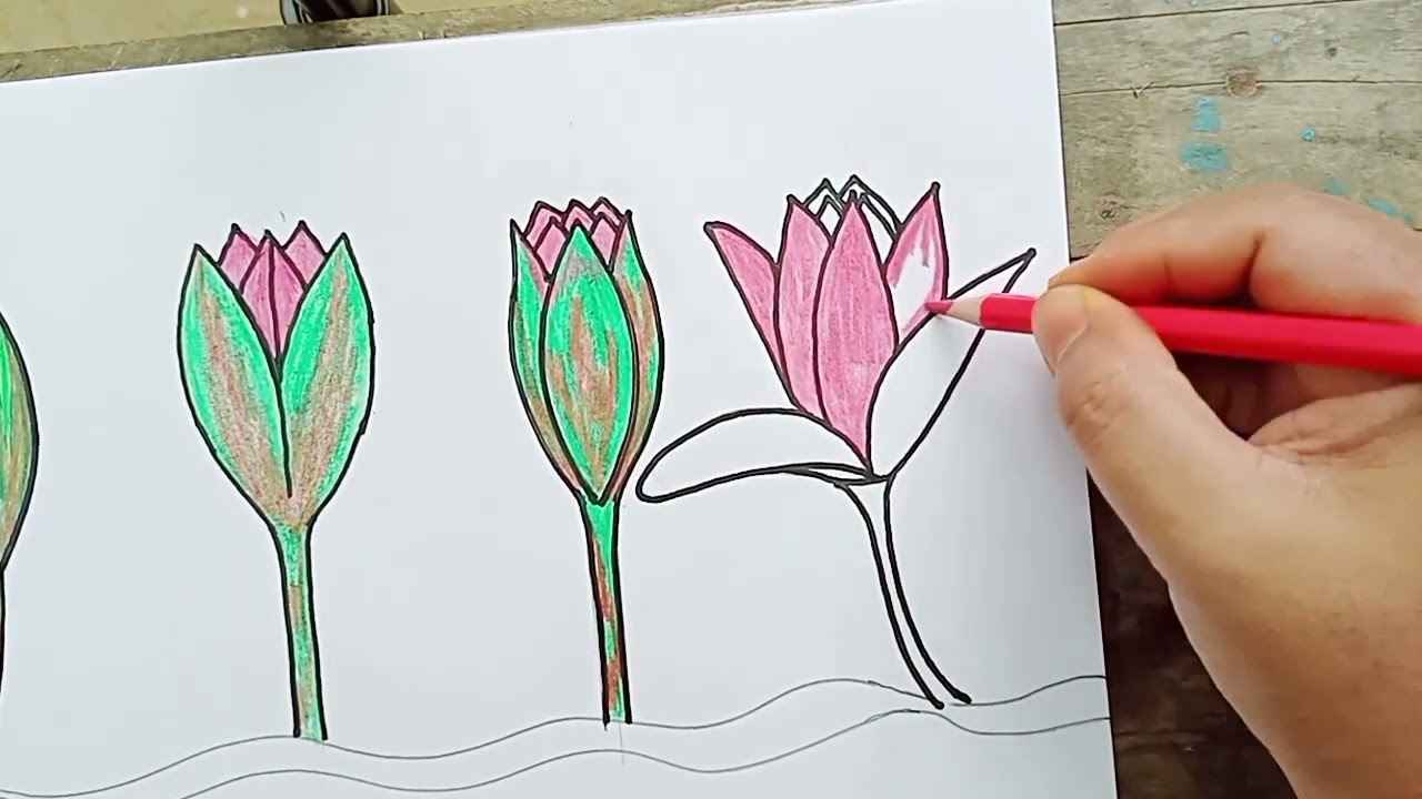 ইসির তালিকায় যুক্ত হলো ‘শাপলা কলি’