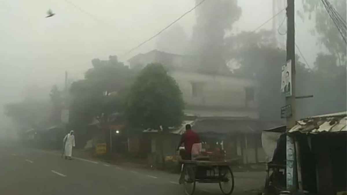 নওগাঁয় হঠাৎ ঘন কুয়াশা, বার্তা দিচ্ছে শীতের