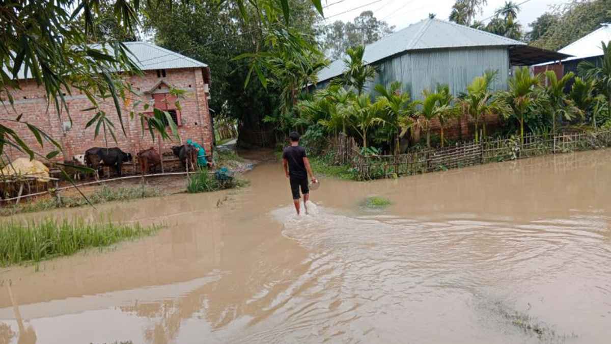 বিপৎসীমার নিচে তিস্তার পানি, ভাঙন আতঙ্ক  