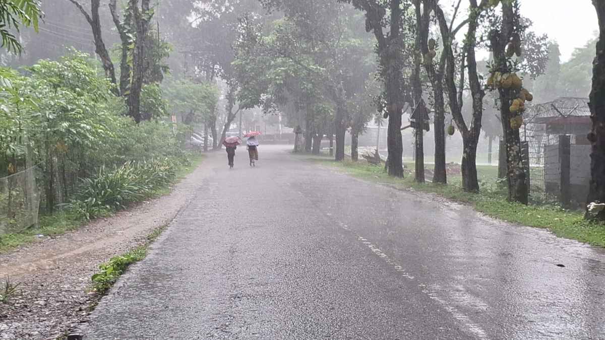 পঞ্চগড়ে বইছে শীতের হাওয়া, ২২ ডিগ্রির ঘরে তাপমাত্রা