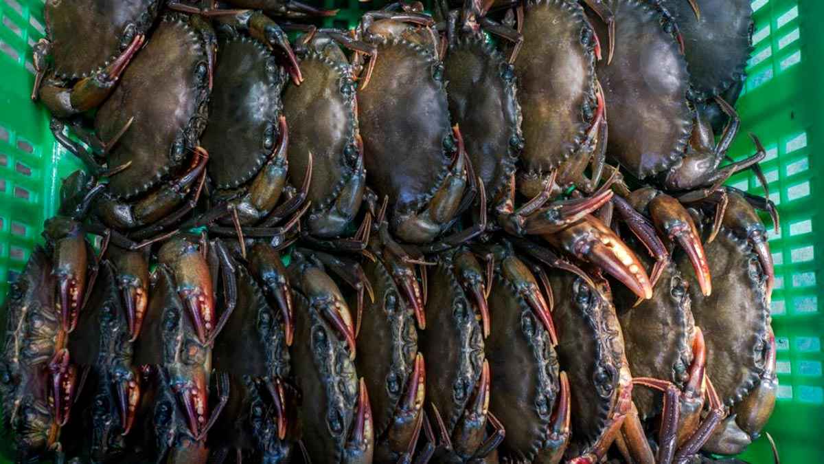 Erkak porno video onanizm Bryanskda jinsiy aloqa