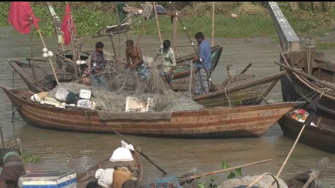মেঘনা-তেঁতুলিয়ায় মিলছে না আশানুরূপ ইলিশ