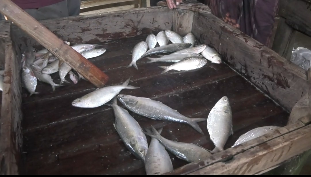 thumbnail_1000071869