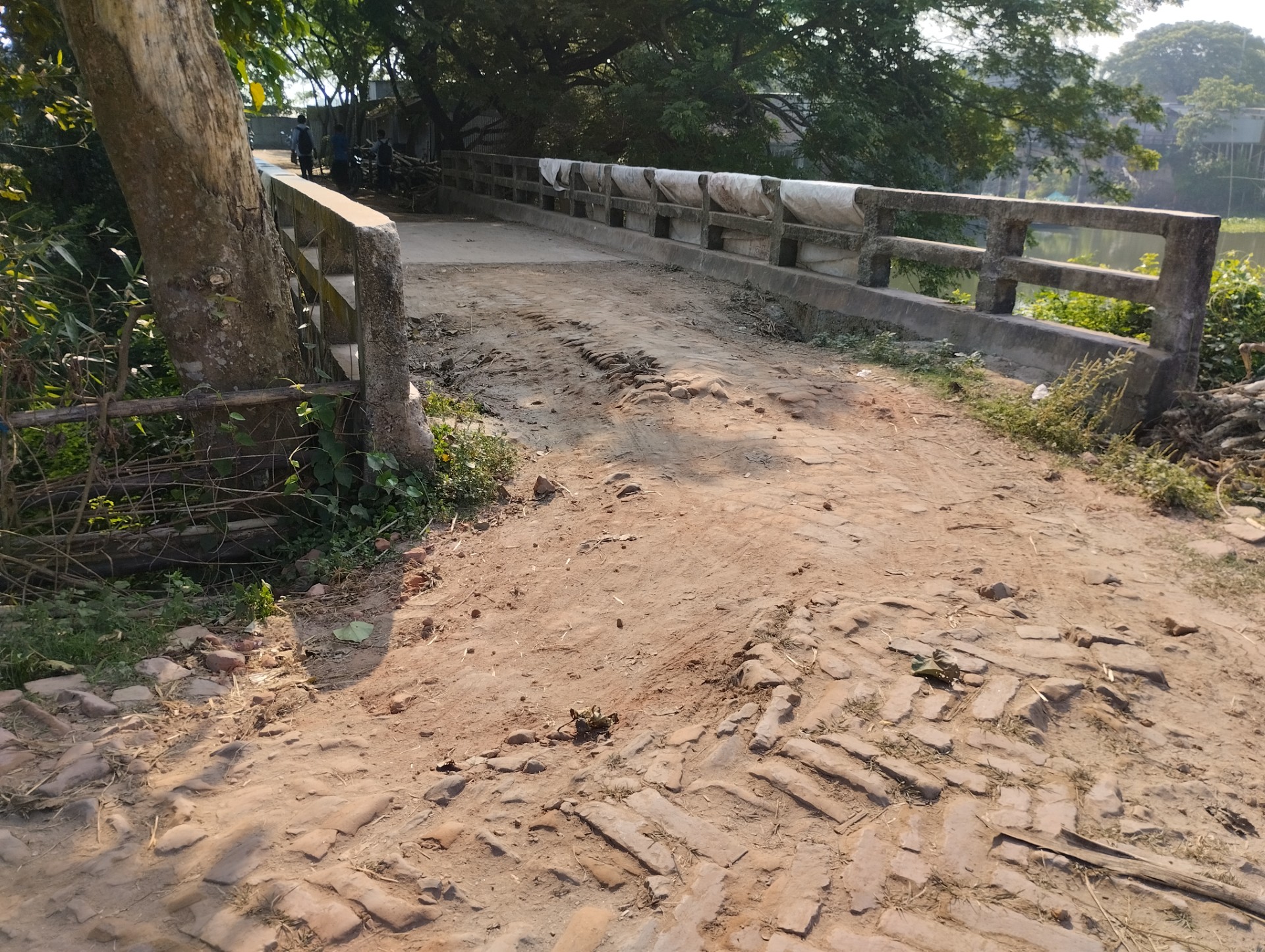 thumbnail_1000151182