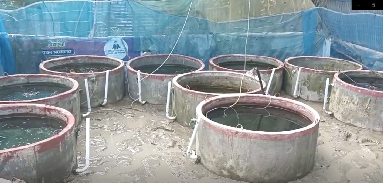 thumbnail_Dinajpur_-4