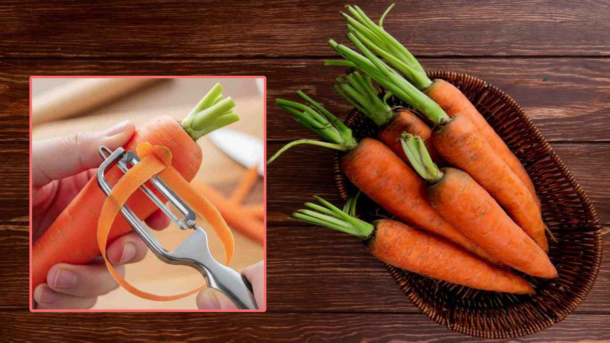 গাজরের খোসা ফেলে দেন? গুণের কথা জানলে তো চমকে উঠবেন