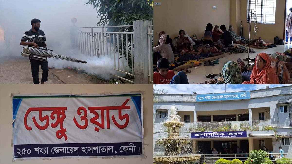 ফেনীতে বেড়েছে ডেঙ্গুর প্রকোপ সচেতন থাকার পরামর্শ চিকিৎসকদের