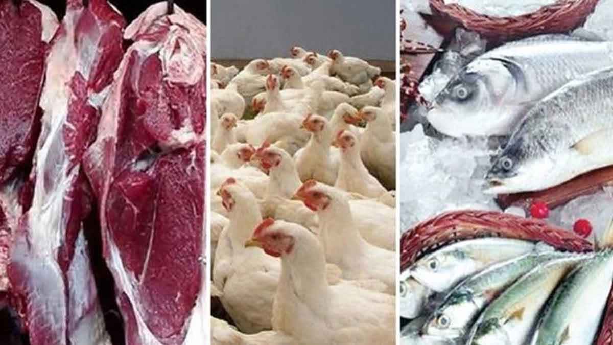 মাছ–গরুর দামে নেই স্বস্তি, গরিবের ভরসা পোল্ট্রিতে