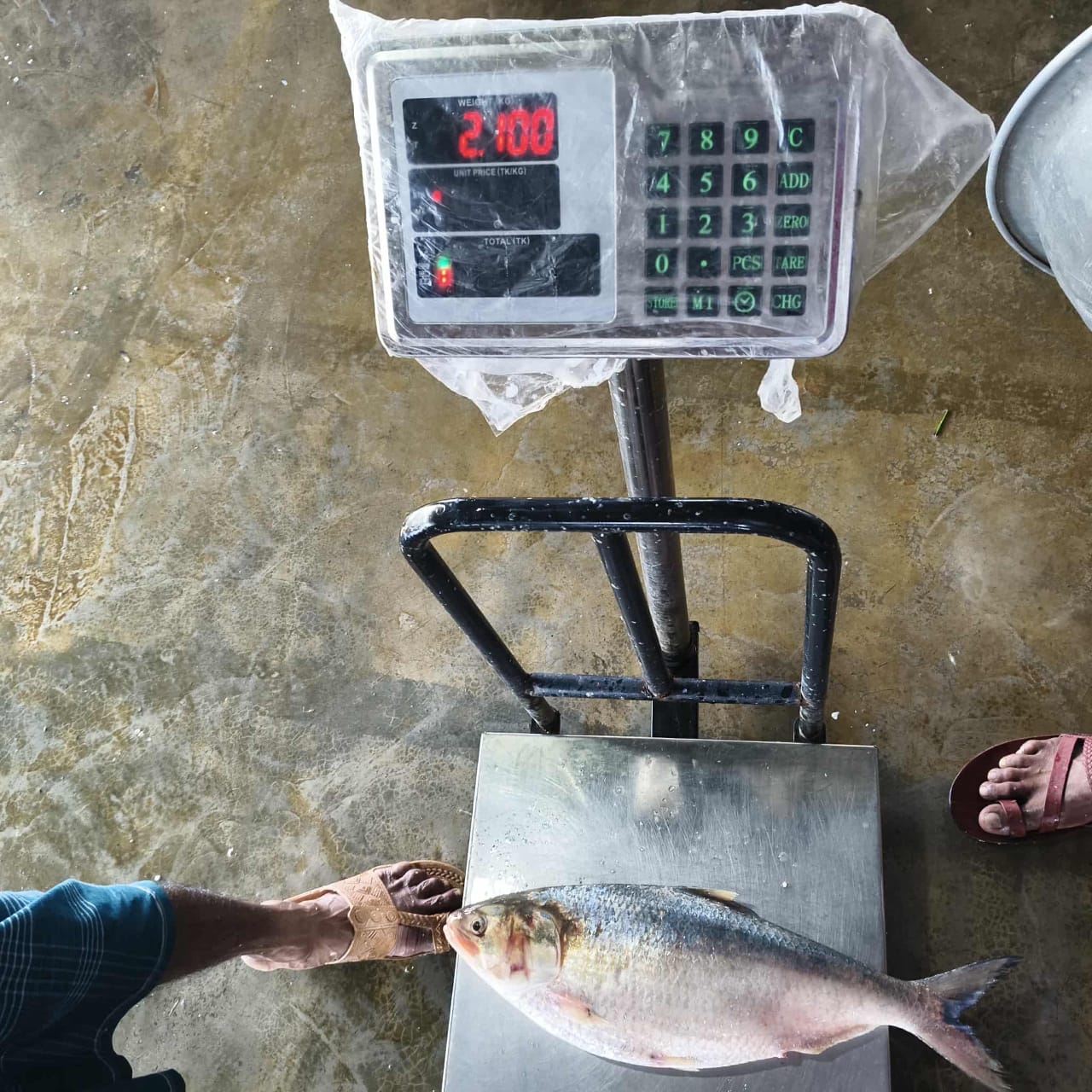 IMG-20250920-WA0036 IMG-20250920-WA0036