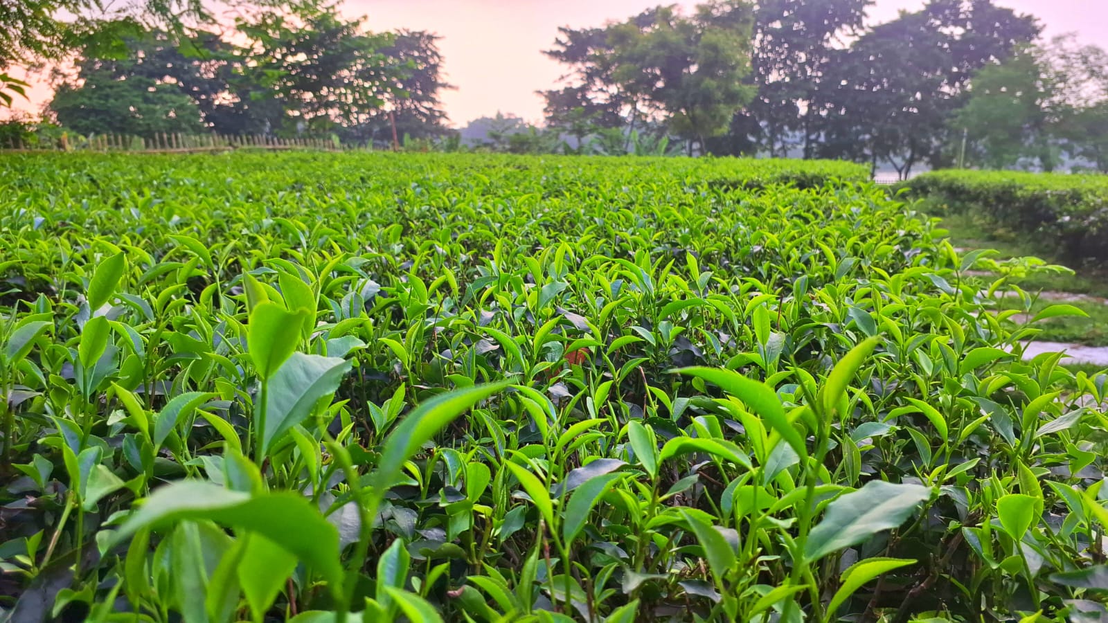 IMG-20250926-WA0043 IMG-20250926-WA0043