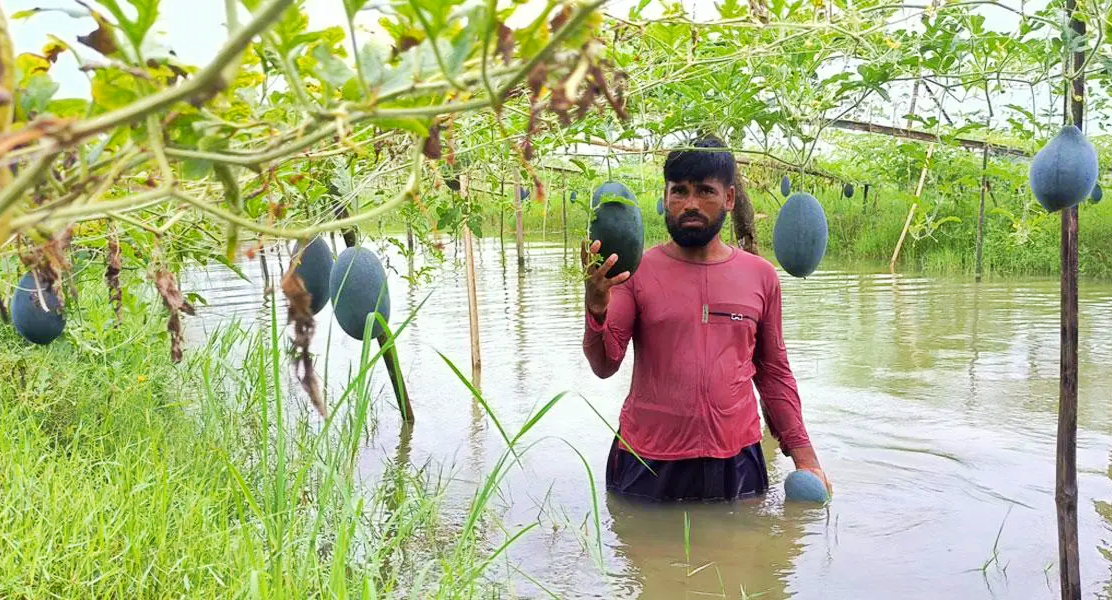 IMG_20250914_201219 IMG_20250914_201219